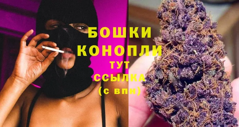 Марихуана THC 21%  мега ONION  Каргополь  закладка 